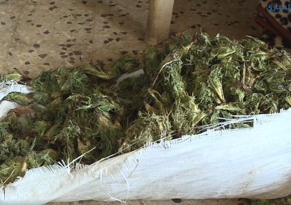 بالفيديو.. تعكيب "العكوب" مصدر رزق للناس