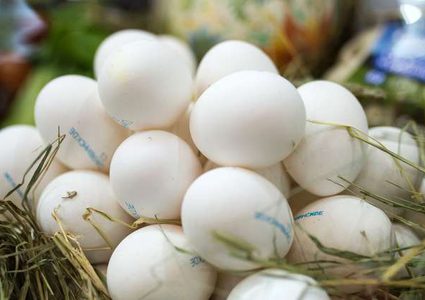 ما الذي يحدث في الجسم عند تناول ثلاث بيضات في اليوم