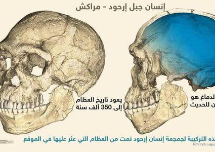 اكتشافات جينية فريدة في مغارة بالمغرب