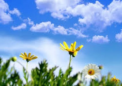 اجواء ربيعية وارتفاع كبير على درجات الحرارة خلال اليومين القادمين