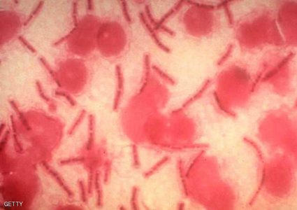 كيف "تجوب" الفيروسات الأرض؟