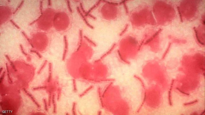 كيف "تجوب" الفيروسات الأرض؟