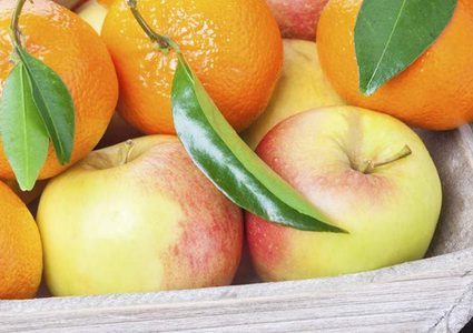 قبل الربيع.. علاجات طبيعية للحساسية