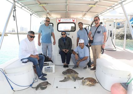 انقاذ 3 حيوانات بحرية نادرة في البحرين