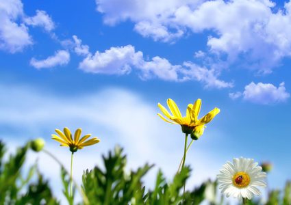 الطقس: ارتفاعات متتالية على درجات الحرارة حتى نهاية الأسبوع