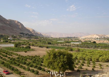 "جودة البيئة": أريحا أكثر المناطق البيئية استهدافاً من قبل الاحتلال