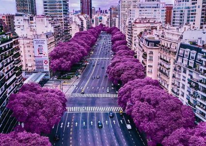 صباحك يابلد 19_3_2018