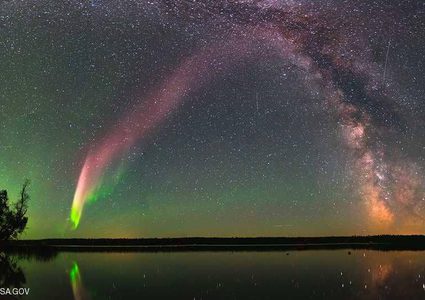 أخيراً.. ناسا تحل لغز "ستيف"