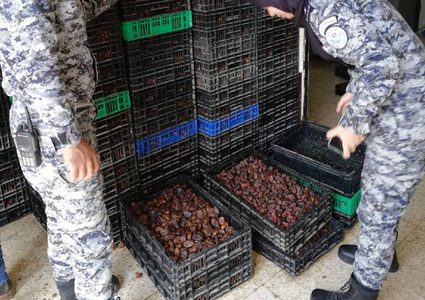 اتلاف 2.5 طن تمر غير صالح للاستهلاك الآدمي