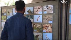 جمعية أصدقاء البيئة تفتتح أسبوع البيئة الفلسطينية (فيديو)