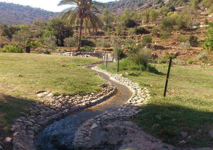 "قانا" جمال الطبيعة الفلسطيني المسلوب