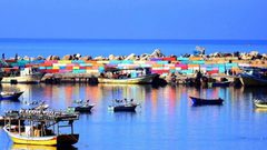 "نافذة على غزة" معرض فوتوغرافي في التشيك لمناسبة اليوم الوطني للثقافة