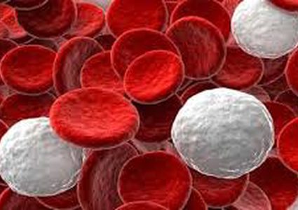 أسباب ارتفاع كرات الدم البيضاء