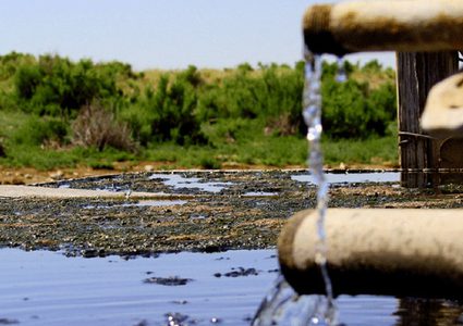 97 % من مياه الحوض الساحلي لا تتوافق مع معايير الصحة العالمية