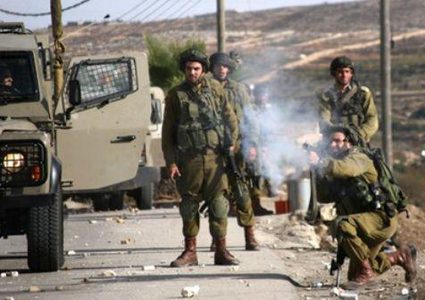 الاحتلال يحرق مزروعات في سبسطية