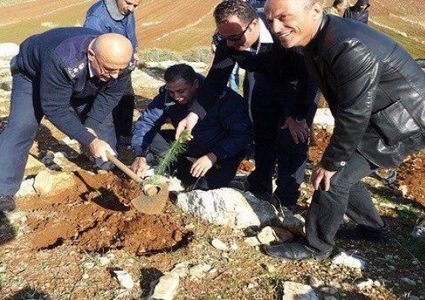 زراعة أشجار زيتون في أراض مهددة بالاستيلاء جنوب شرق طوباس