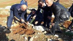 زراعة أشجار زيتون في أراض مهددة بالاستيلاء جنوب شرق طوباس