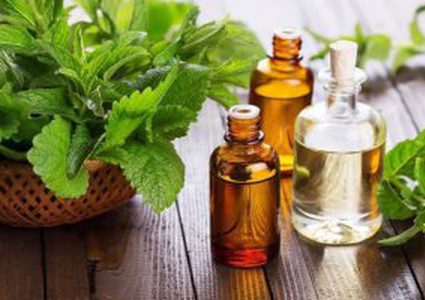 هل علاج حصى المرارة بالأعشاب ضار على الصحة؟