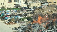 البلدية: تطبيق نظام المكاره الصحية هدفه"الردع"