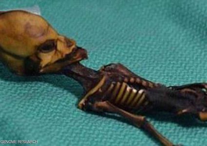 الكائن الفضائي يخيب آمال الكثيرين بسبب أصله البشري!