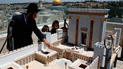 الاحتلال لم يتعلم من الدرس .. ماذا ينتظر الأقصى؟