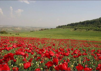 الطقس: ارتفاعات متتالية على درجات الحرارة