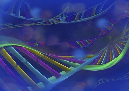 البشرية تزداد غباء وصحتها تتراجع!