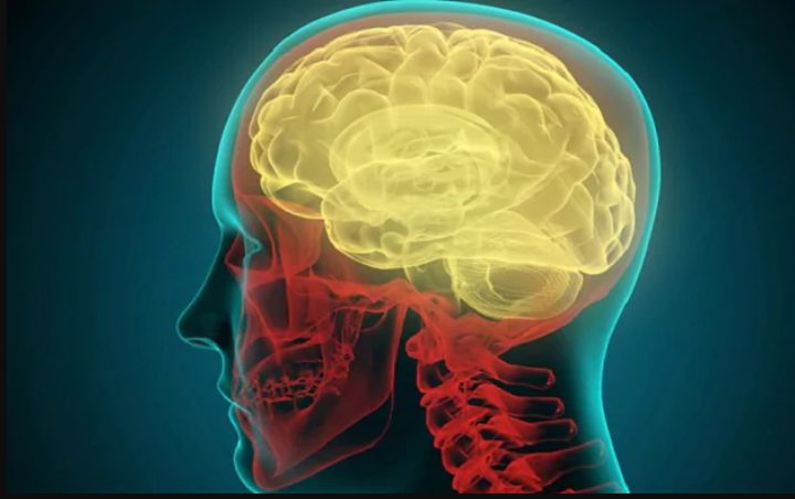 لماذا لا يجب تجاهل "ردود الفعل الغريزية"؟