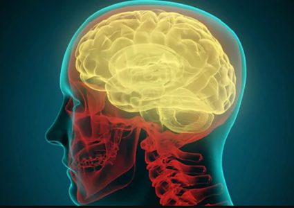 لماذا لا يجب تجاهل "ردود الفعل الغريزية"؟