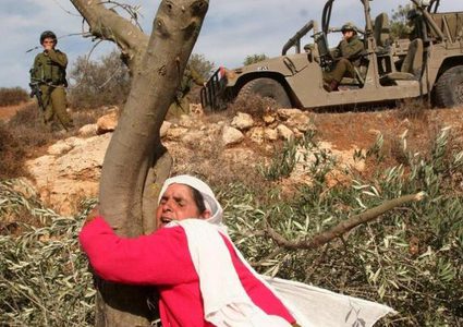 إقرار برنامج إحياء ذكرى يوم الأرض والنكبة