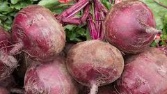 الشمندر لحمايتك من هذا المرض الخطير