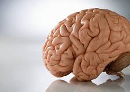 كيف يتحكم جهازك الهضمي بدماغك!