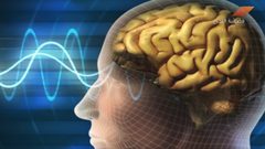 أدمغة البشر إدخال أشبه بواي فاي (فيديو)