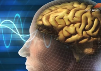 أدمغة البشر إدخال أشبه بواي فاي (فيديو)