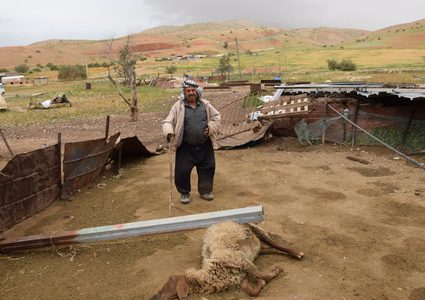 يوم "العواصف".. المزارع الضحية (صور)