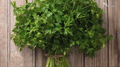 فوائد البقدونس لجسم الإنسان (فيديو)