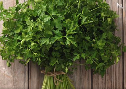 فوائد البقدونس لجسم الإنسان (فيديو)