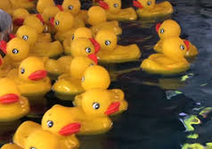 قنبلة من البكتيريا والفطريات في منازلكم!