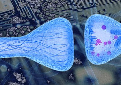 علماء يبتكرون دواء للضعف العضلي!
