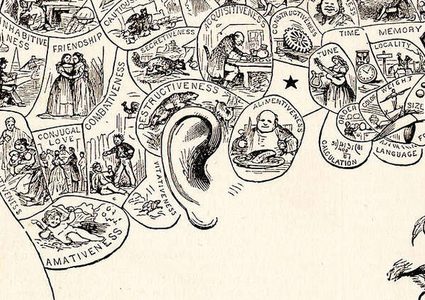 أهم العوامل المؤثرة في ذاكرة البشر