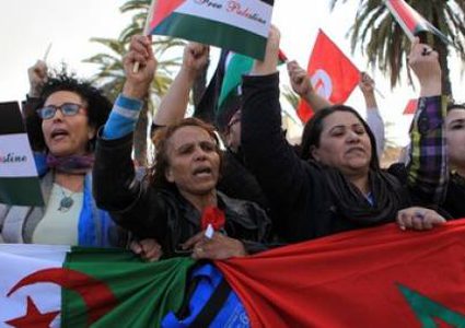 تونس تستمر في إحياء ذكرى يوم الأرض الفلسطيني