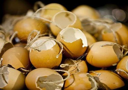 استخدامات غير متوقعة لقشور البيض!