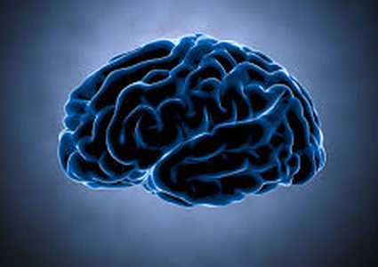 علماء يتحكمون بارادة الدماغ!