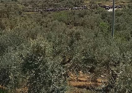 إصابة مواطن إثر  اعتداءات المستوطنين جنوب نابلس