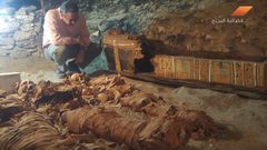 اكتشاف أقدم حالة أصيبت بمرض السرطان في التاريخ البشري (فيديو)