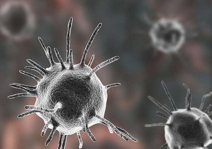 الكشف عن أصل فيروسات بشرية عمرها ملايين السنين