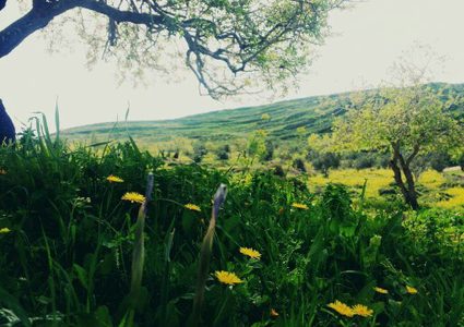 الحرارة حول معدّلها العام وفرصة لسقوط الأمطار الليلة وصباح الغد