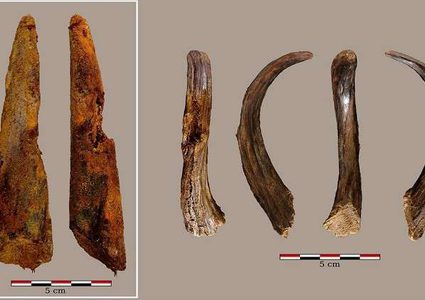 ​​اكتشاف أقدم أداة خشبية صنعها الإنسان