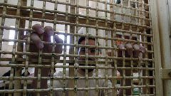 7 أسرى يخوضون "اضراب الكرامة"