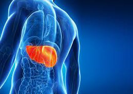 طريقة لتجديد خلايا الكبد!